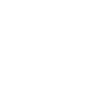 Stacy Snively Homes Logo White